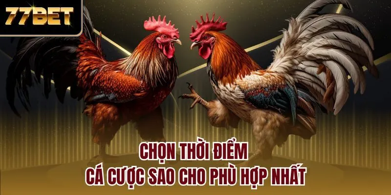 Chọn thời điểm cá cược sao cho phù hợp nhất