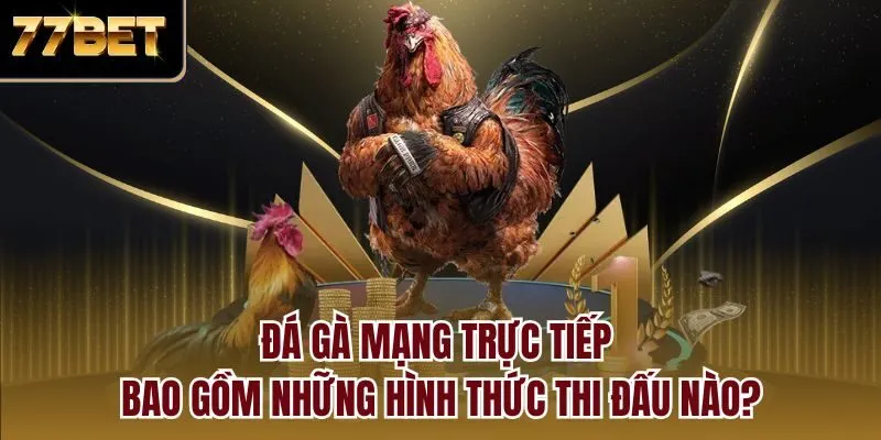 Đá gà mạng trực tiếp bao gồm những hình thức thi đấu nào?