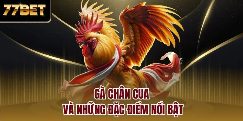 Gà chân cua và những đặc điểm nổi bật