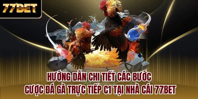Hướng dẫn chi tiết các bước cược đá gà trực tiếp C1 tại nhà cái 77bet