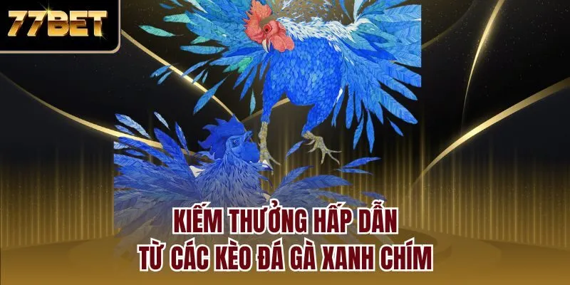 Kiếm thưởng hấp dẫn từ các kèo đá gà xanh chín