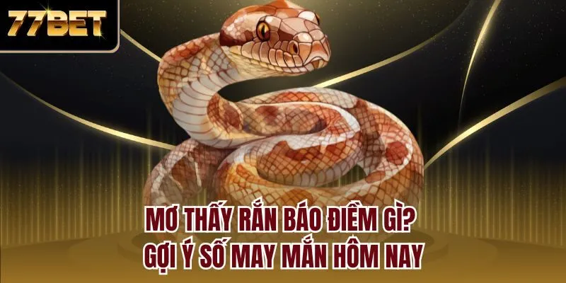 Giải nghĩa các trường hợp mơ thấy rắn thường thấy nhất
