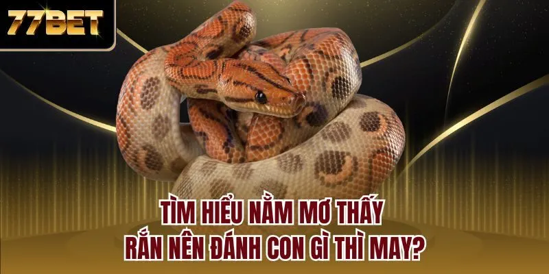 Tìm hiểu nằm mơ thấy rắn nên đánh con gì thì may?