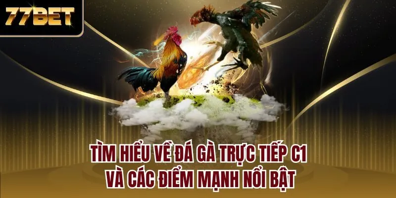 Tìm hiểu về đá gà trực tiếp C1 và các điểm mạnh nổi bật